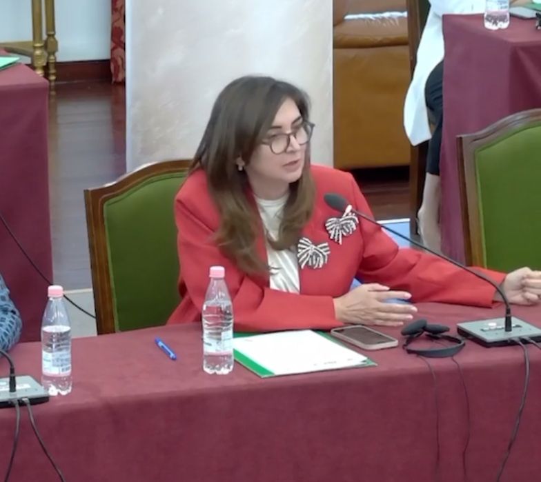 Avokatja E Popullit Merr Pjesë Në Takimin Me Temë “Dhuna Psikologjike Dhe Digji…